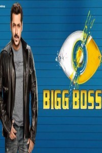 Bigg Boss 13 (2019) TV Shows